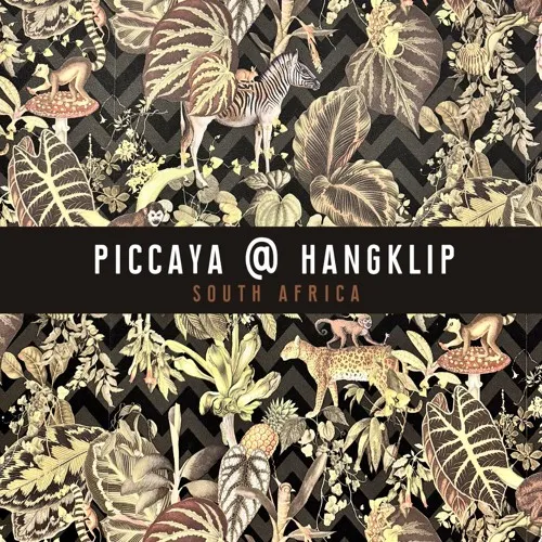 Couverture de Live @ Hangklip (Organic House) par Piccaya